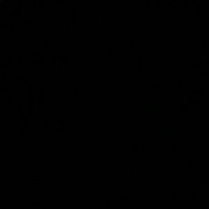 Meet your Posher, Chase